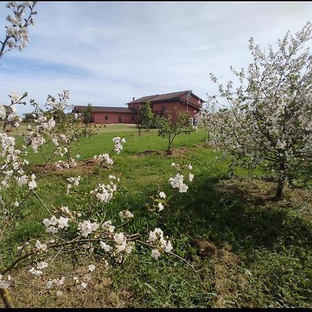 Il Casale Di Giulia Di Aprilia Bed & Breakfast Dış mekan fotoğraf